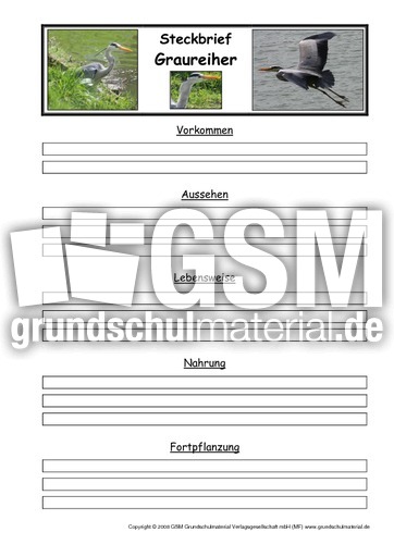 Steckbriefvorlage-Graureiher.pdf